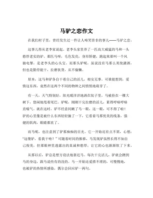 马驴之恋作文
