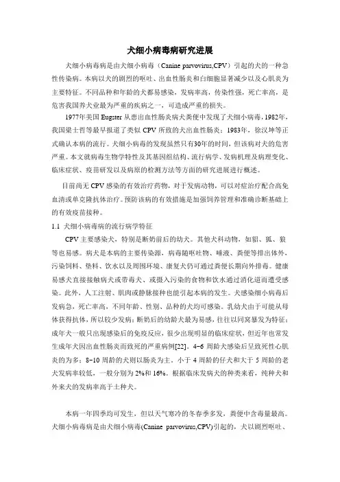 犬细小病毒研究进展