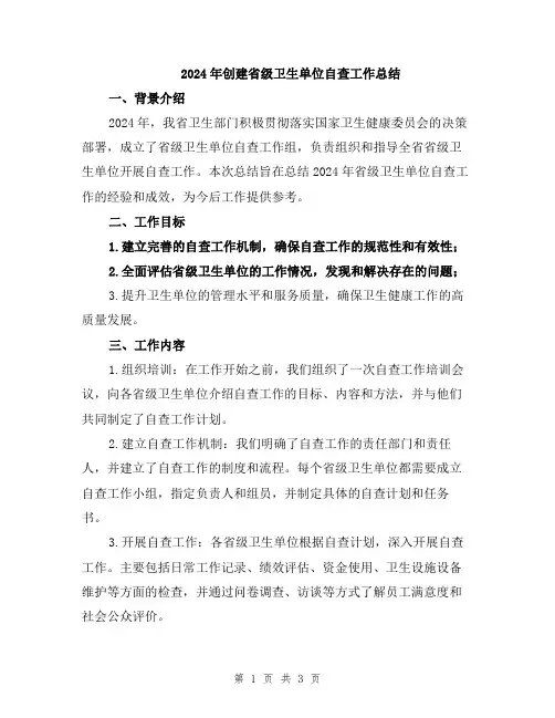 2024年创建省级卫生单位自查工作总结