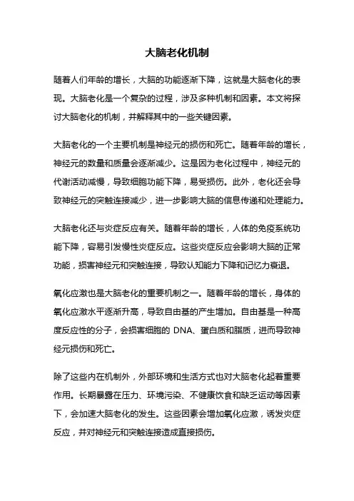大脑老化机制