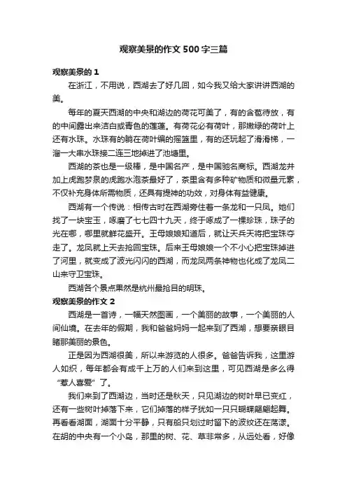 观察美景的作文500字三篇