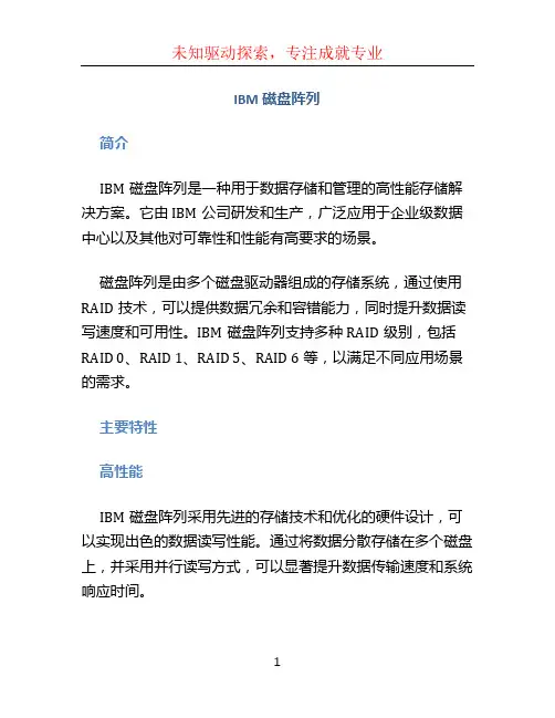 ibm磁盘阵列