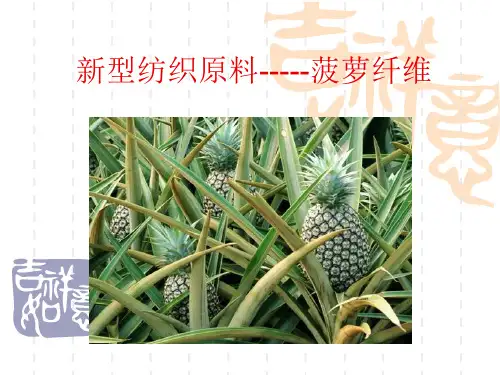 新型纺织原料-----菠萝纤维