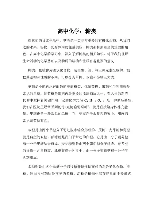 高中化学：糖类