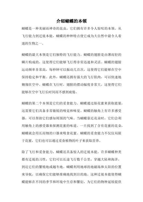 介绍蝴蝶的本领