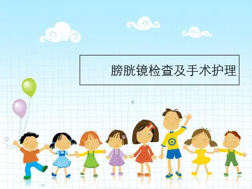 膀胱镜检查及手术护理课件