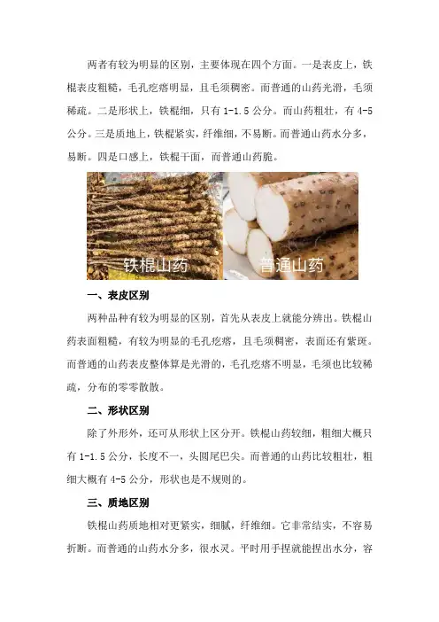铁棍山药和普通山药的区别