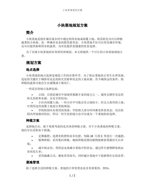 小块菜地规划方案
