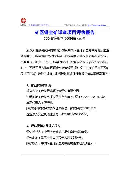 矿区铜金矿详查项目评估报告