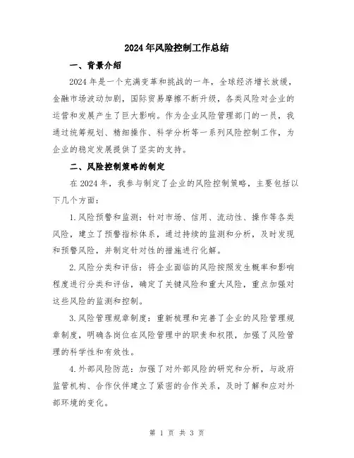 2024年风险控制工作总结