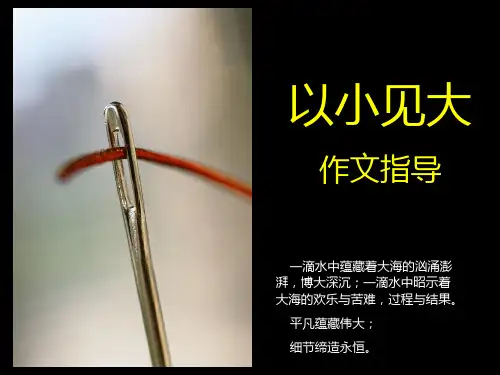 作文选材_以小见大