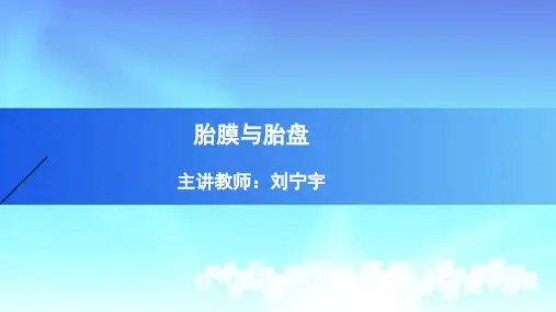 6.胎膜与胎盘