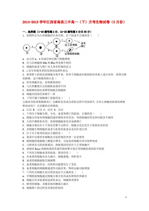 江西省南昌三中高一生物下学期5月月考试卷(含解析)