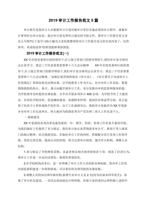 2019审计工作报告范文5篇