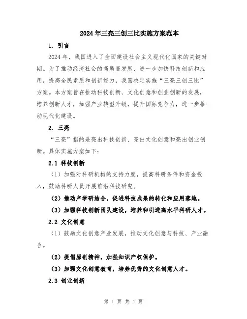 2024年三亮三创三比实施方案范本
