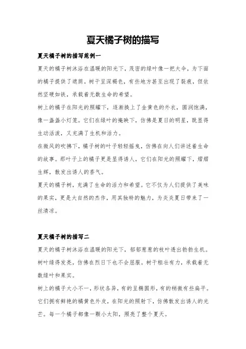 夏天橘子树的描写