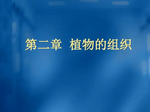 药用植物学与生药学第二章植物的组织
