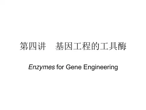 基因工程的工具酶(一)