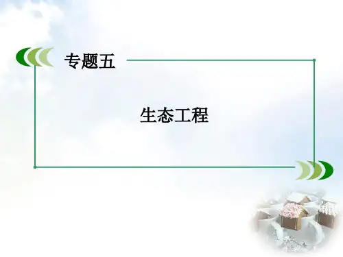 人教版高中生物选修3专题5 第1节《生态工程的基本原理》ppt课件