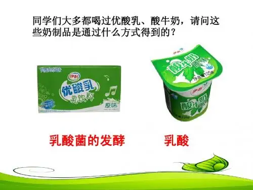 4.2种群数量变化(赛课)