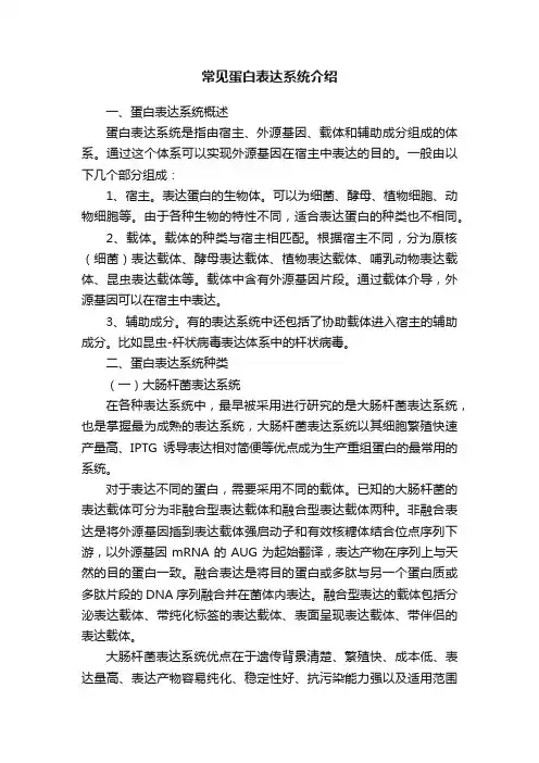 常见蛋白表达系统介绍