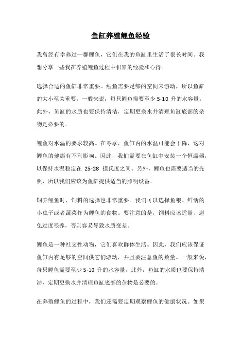 鱼缸养殖鲤鱼经验