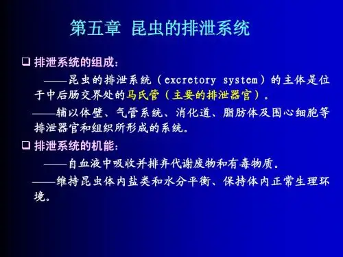第5章排泄系统