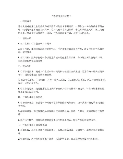 竹荪创业项目计划书