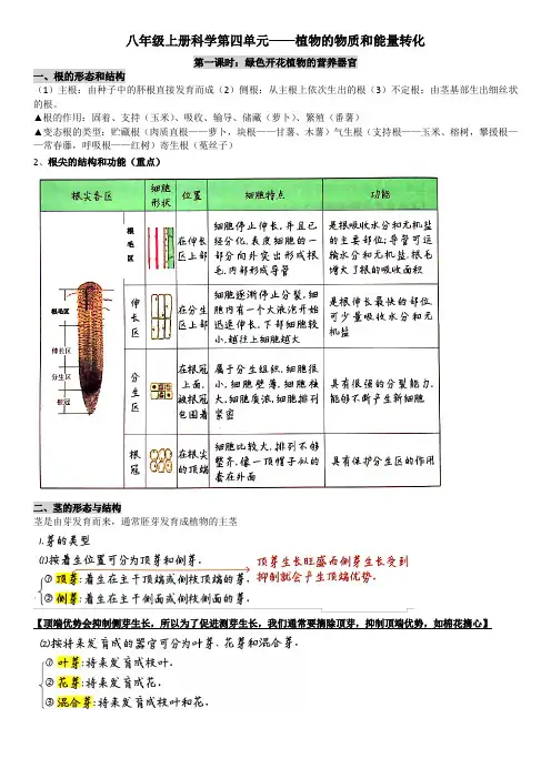 华师大版科学八年级上第四单元知识点整理