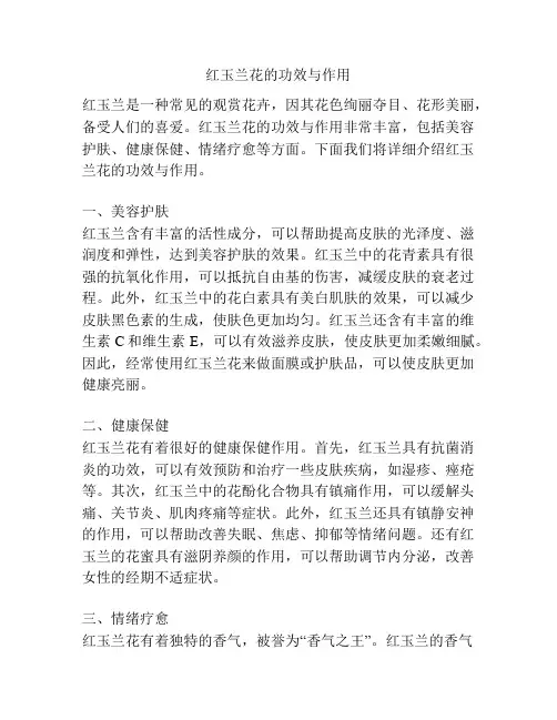 红玉兰花的功效与作用