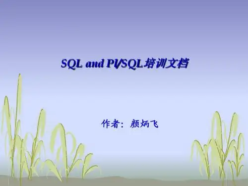 SQL-PLSQL教程