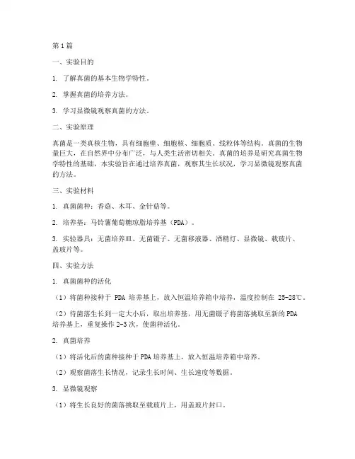 培养真菌生物实验报告(3篇)