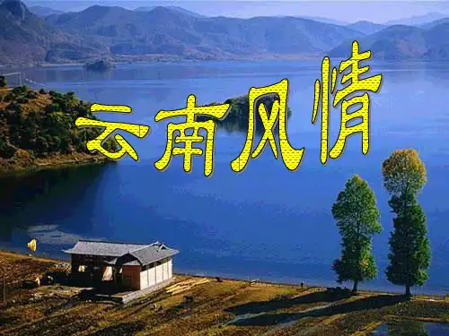 云南的歌会优秀课件精品文档35页