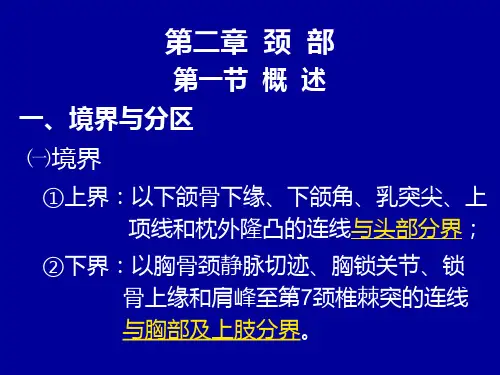 局部解剖学 颈部 医学PPT课件