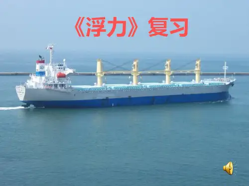 沪科版八年级 第九章 浮力 复习 (共51张PPT)