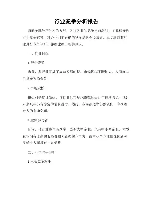 行业竞争分析报告