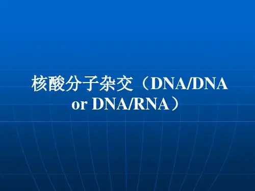 核酸分子杂交(DNADNA or DNARNA)