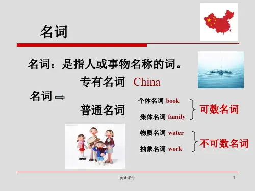 小学名词变复数  ppt课件