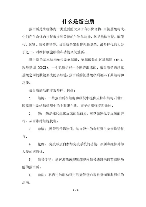 什么是蛋白质