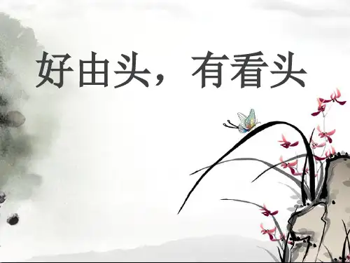 好由头,有看头