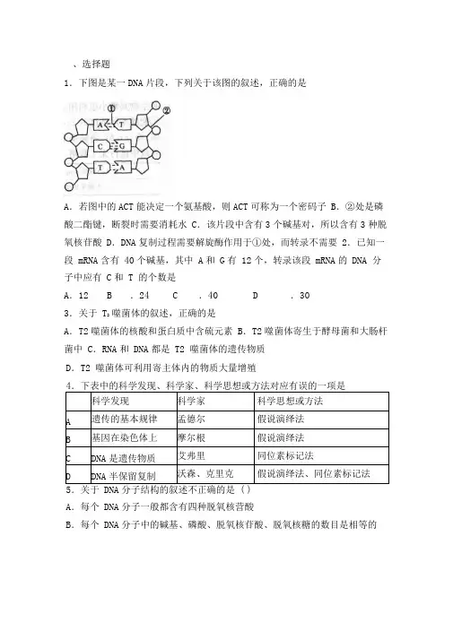 人版高中生物必修二第三章基因的本质检测试题含答案
