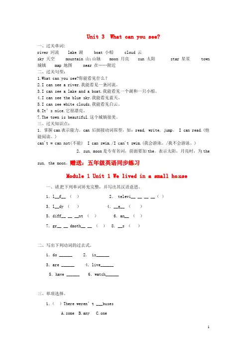 九年义务教育四年级英语下册Unit3Whatcanyousee知识梳理湘少版