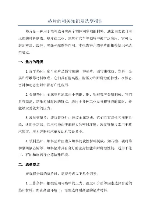 垫片的相关知识及选型报告