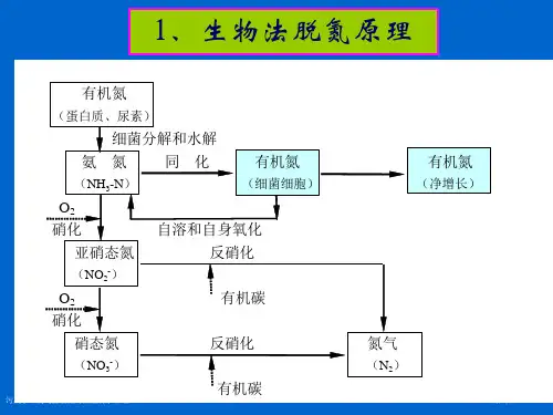 污废水深度处置脱氮的微生物学原理