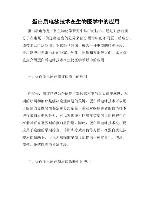 蛋白质电泳技术在生物医学中的应用