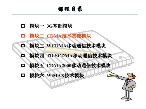 CDMA编码技术