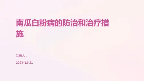 南瓜白粉病的防治和治疗措施