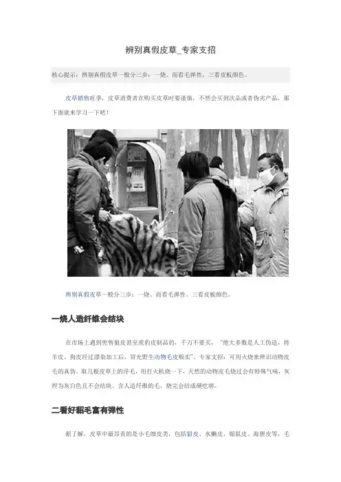 辨别真假皮草_专家支招