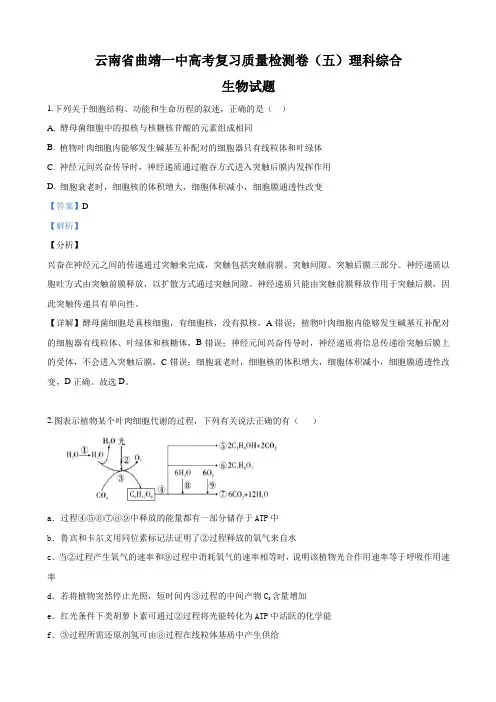 2019届云南省曲靖市曲靖高三第五次模拟理科综合生物试卷