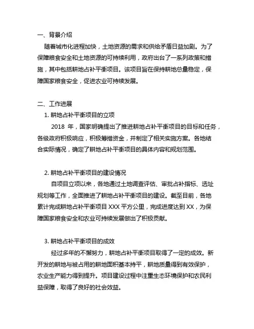 全面推进耕地占补平衡项目建设情况的汇报